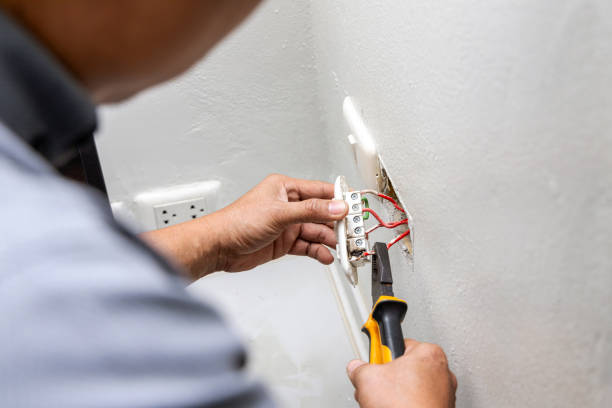 Best Electric Panel Repair  in Pine Bluff, AR